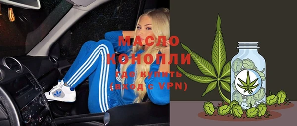 крисы Ельня