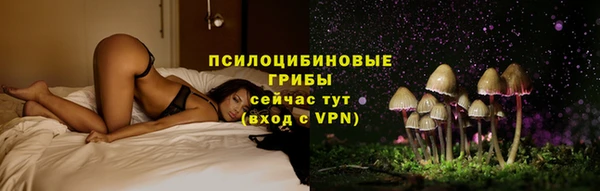 дмт Абаза