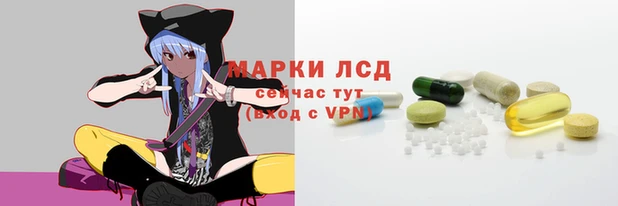 дмт Абаза