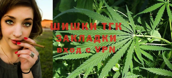 дмт Абаза