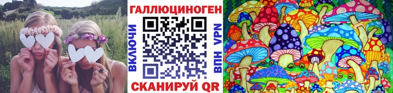 где купить наркоту  Татарск  omg ссылки  Галлюциногенные грибы GOLDEN TEACHER 